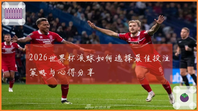 2026世界杯滚球如何选择最佳投注策略与心得分享