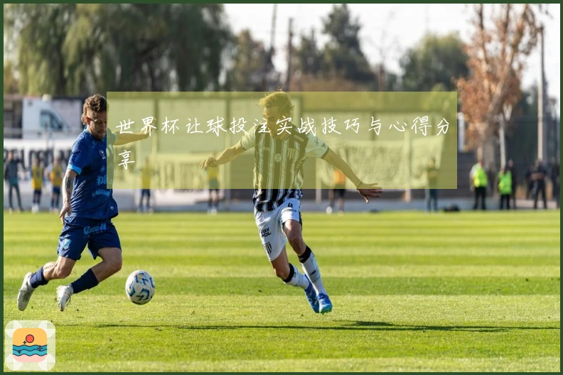 世界杯让球投注实战技巧与心得分享