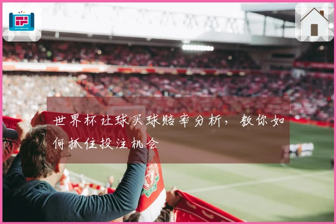 世界杯让球买球赔率分析，教你如何抓住投注机会