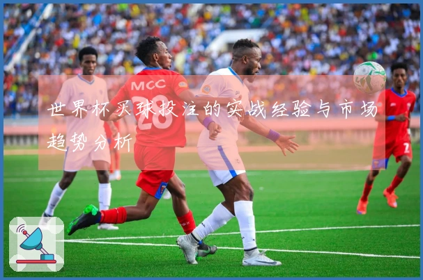 世界杯买球投注的实战经验与市场趋势分析